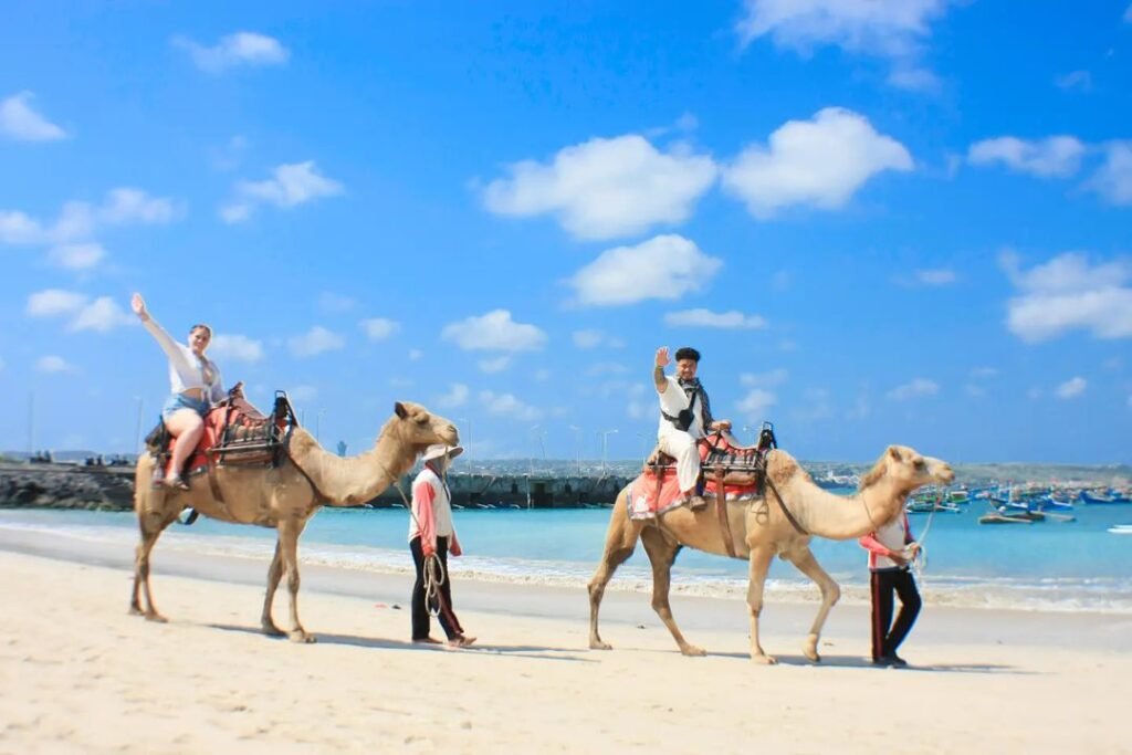 camel riding at kelan beach